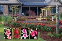 Azalea Encore ® Azalea Encore ®