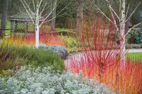RHS Garden Harlow North Yorkshire 1