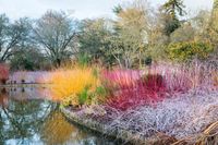 Winter Garden Wisley