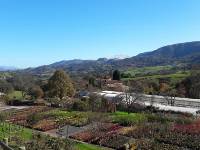 Vivero oto&ntilde;o 2017 1