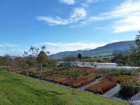 Vivero otoño 2017 2